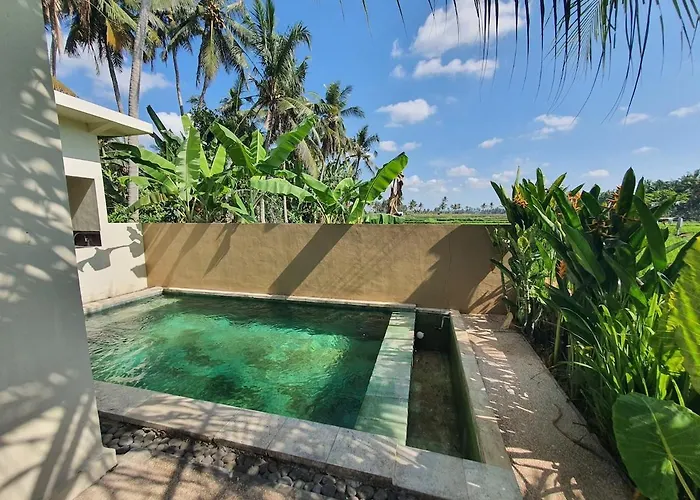 Tirtam One Bedroom Private Pool W Kitchenette * Ubud